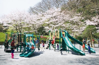 🌳 신린 공원(신바야시 코엔)